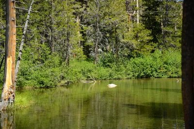 DSC_0020 (Large).JPG